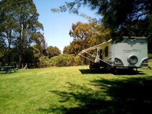 dorrigo hill top 