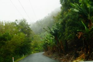 Coffs Harbour