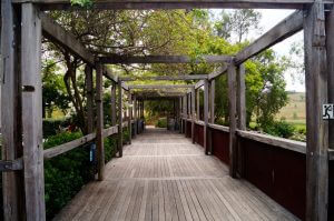 Walkway to winery