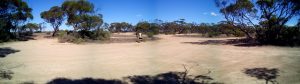 Cohen School Site, Penong