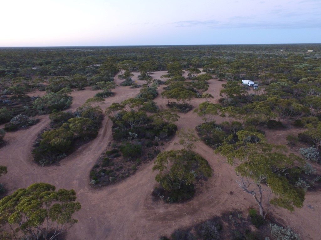 Cocklebiddy  Eyre Highways many maze type camps on the Nullarbor  
