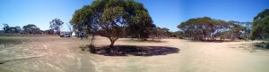 Cohen School Site, Penong