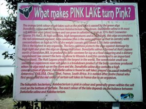 Pink Lake Esperance