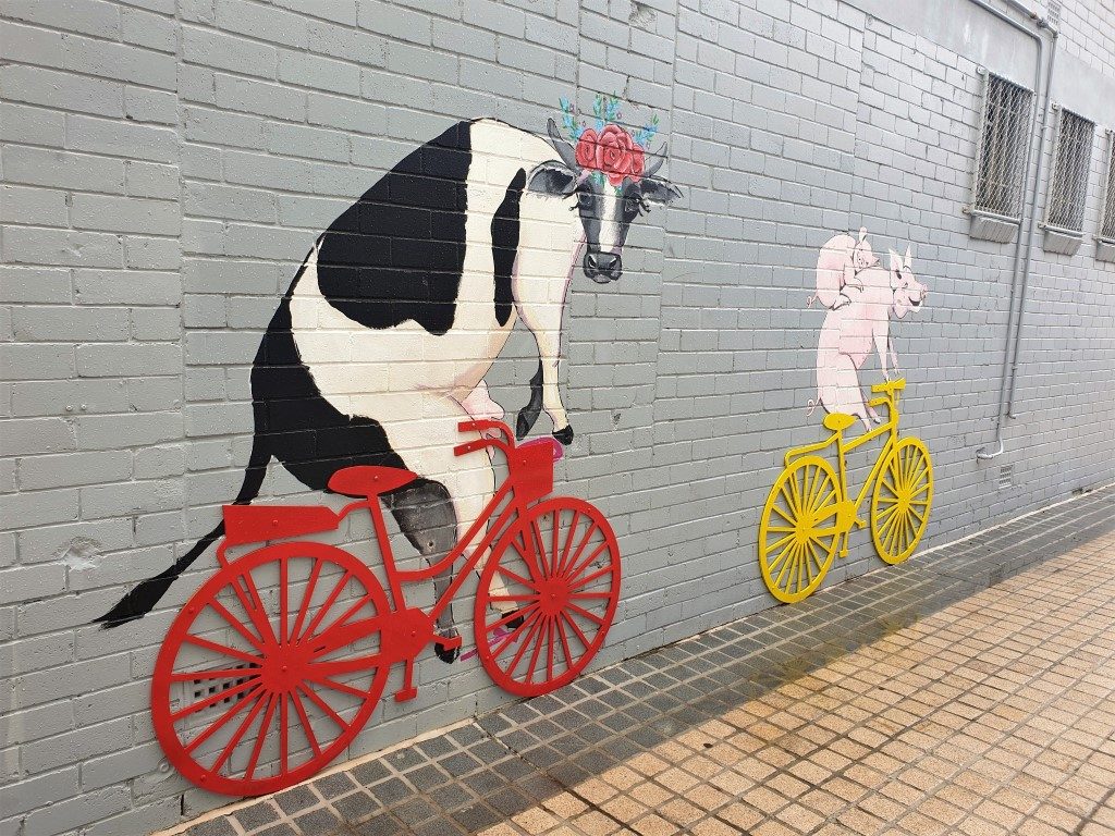 Maryborough-street-art cow on bike