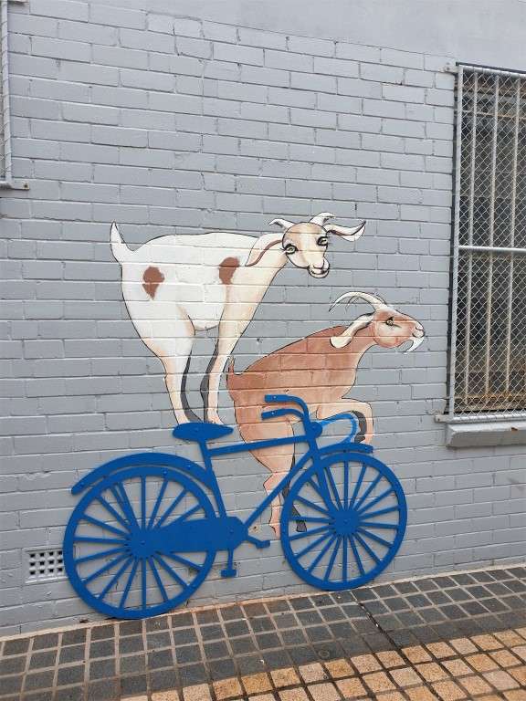 Maryborough-street-art goat on bike