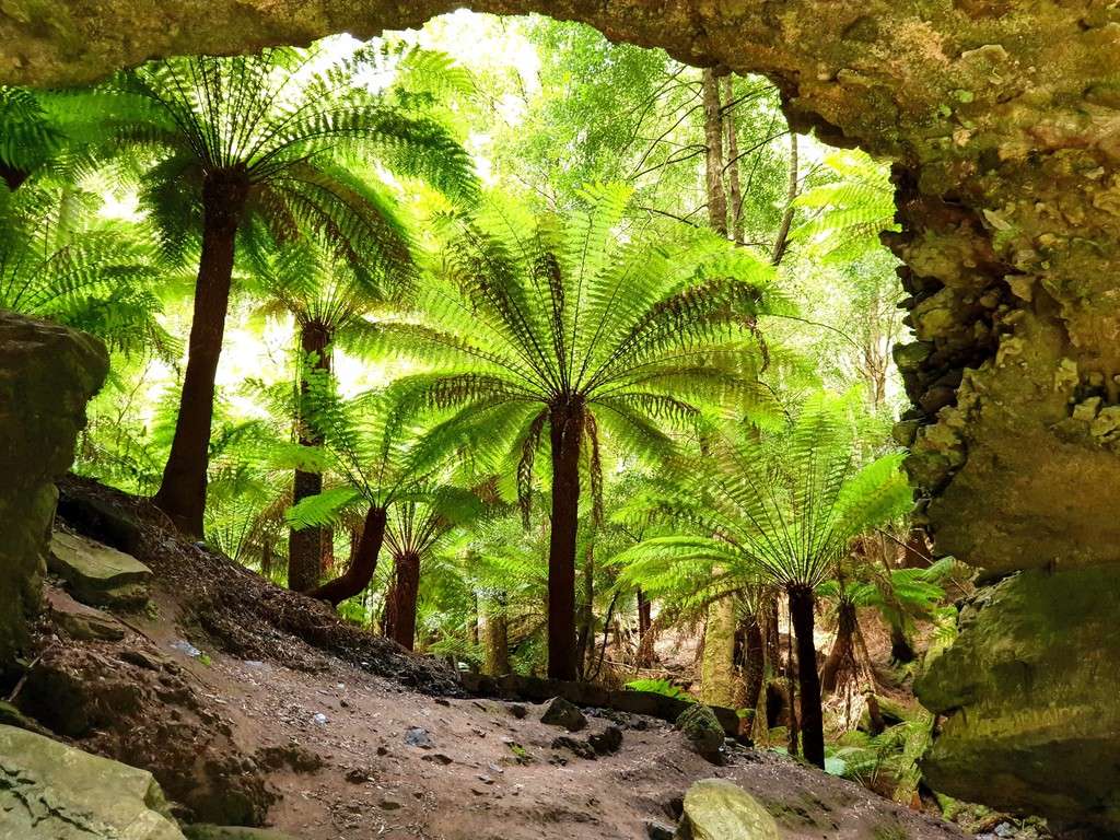 Trowutta Arch Sinkhole Tasmania