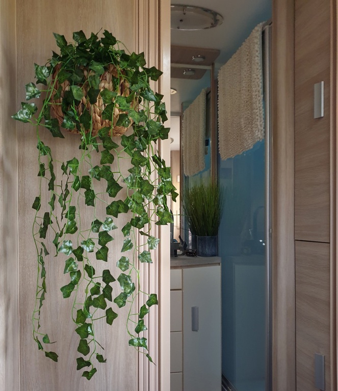 caravan storage idea hanging plant