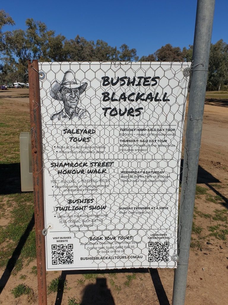 Bushies Blackall Tours at Barcoo river camp blackall Queensland 