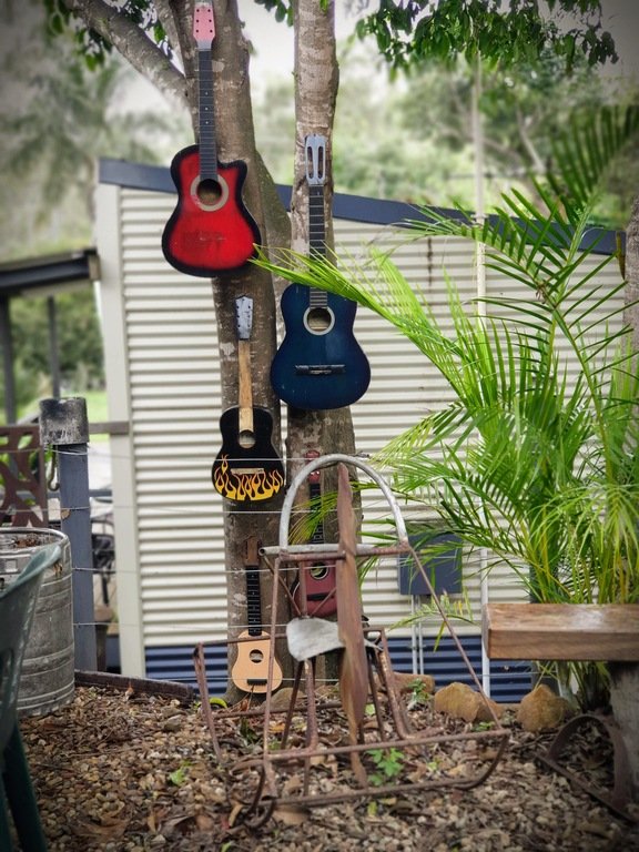 Mount Morgan Silver Wattle Caravan Park Queensland Camp Kitchen guitars stuck to trees