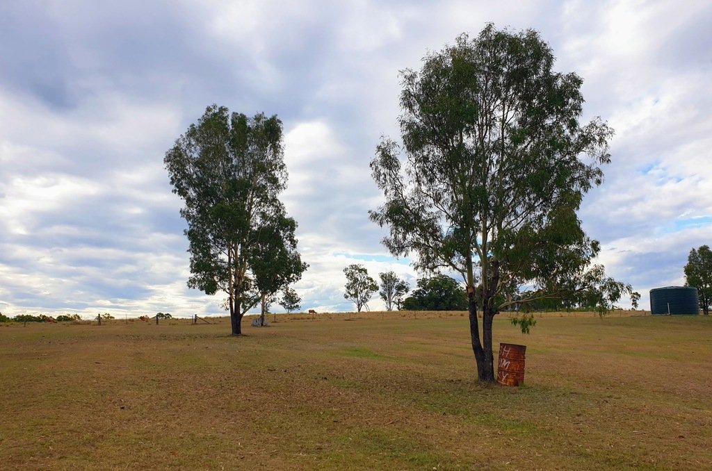 Boondooma Homestead Qld camping