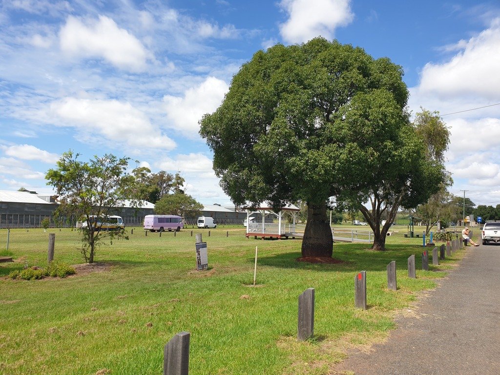 Wooroolin Rest Area Free Camp Qld