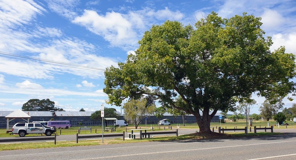 Wooroolin Rest Area Free Camp Qld