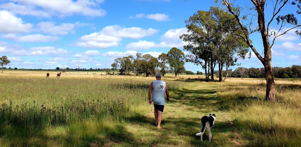 walking 3 legged dog  3 month farm sit around Australia Aussie house sitters