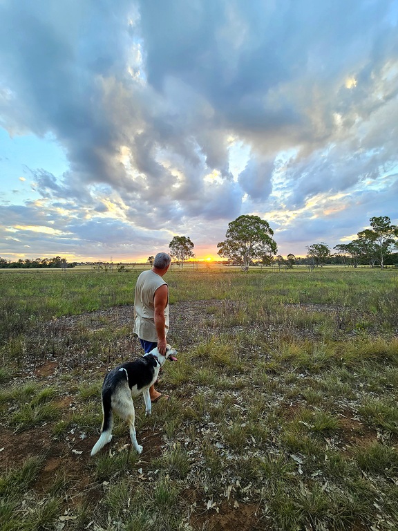 dog and man in field at 3 month farm sit around Australia Aussie house sitters
