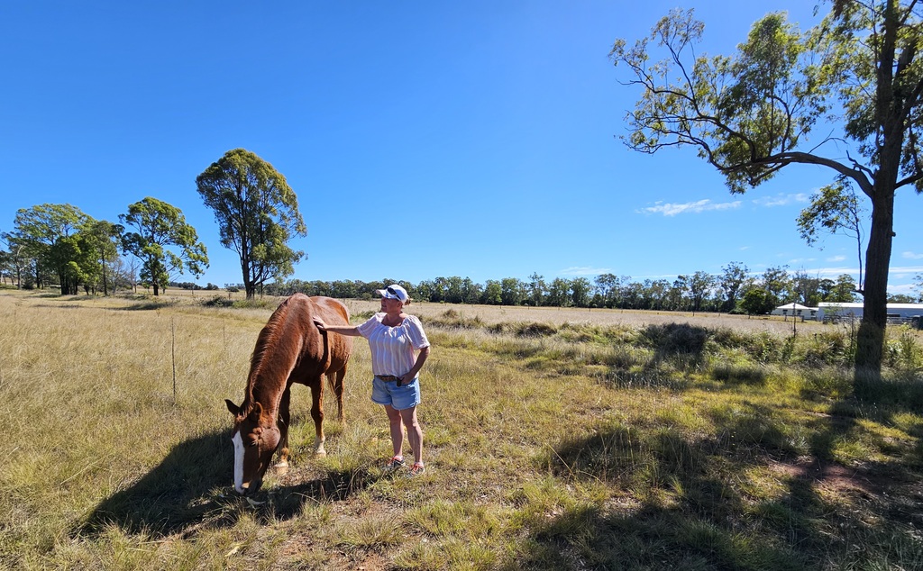 horses at  3 month farm sit around Australia Aussie house sitters