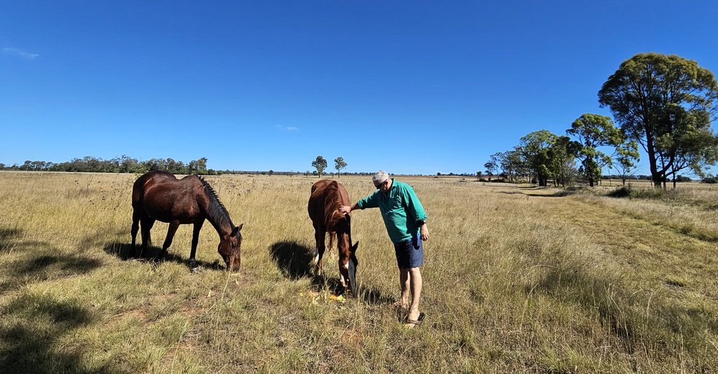 horses at 3 month farm sit around Australia Aussie house sitters