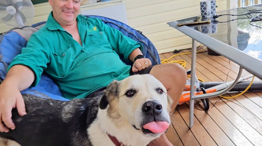 a dog sticking out its tongue and man 3 month farm sit around Australia Aussie house sitters