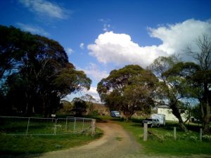 Ebor showgrounds