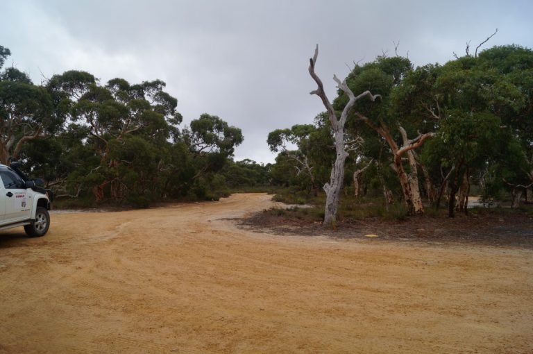 Drummonds Reserve Badgingarra