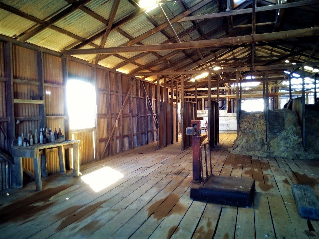 Wooramel station Shearing shed Shearing shed