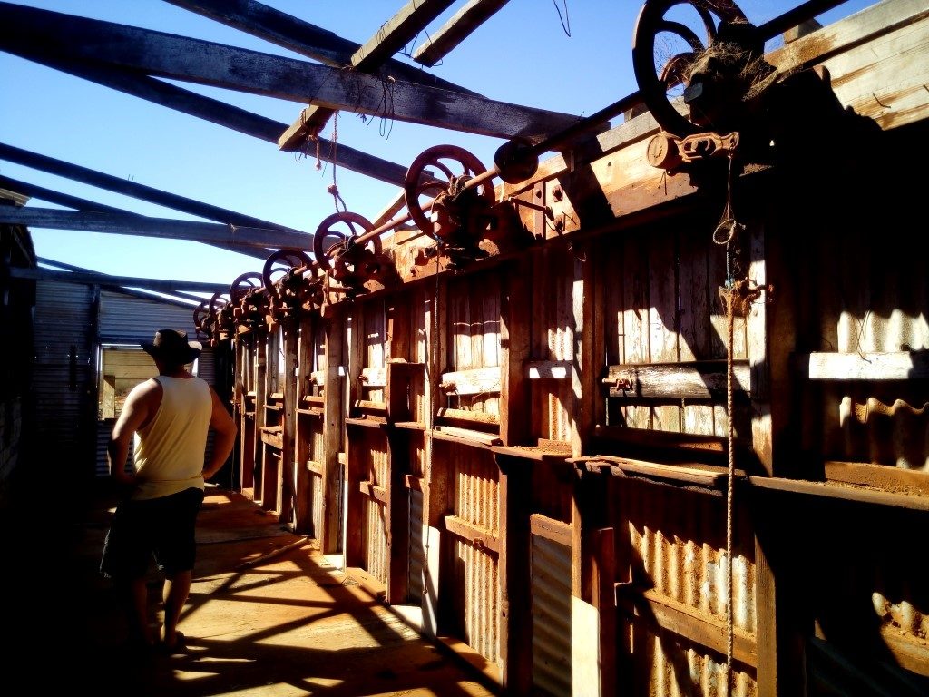 Wooramel station Shearing shed Shearing shed