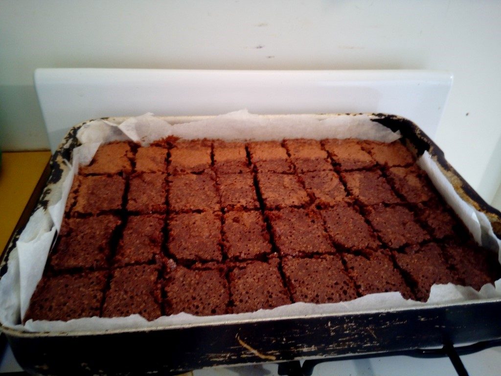 chocolate brownie for mustering cattle station