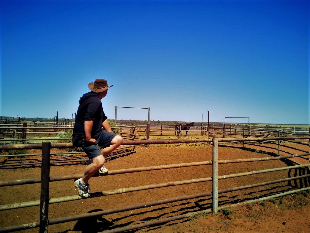 stock yards on the cattle station