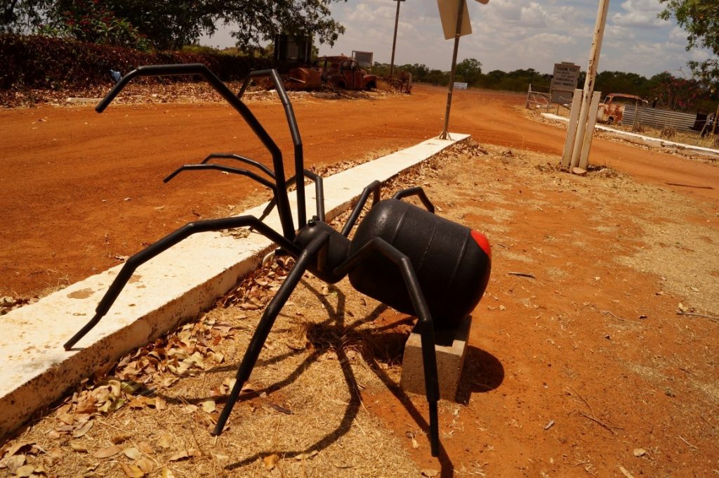 Banka Banka Station Northern Territory fake giant red back spider