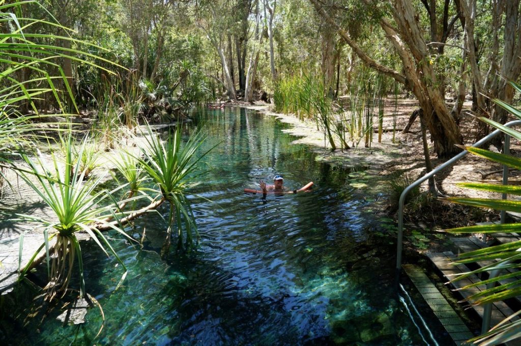 Mataranka Bitter Springs Northern Territory swimming