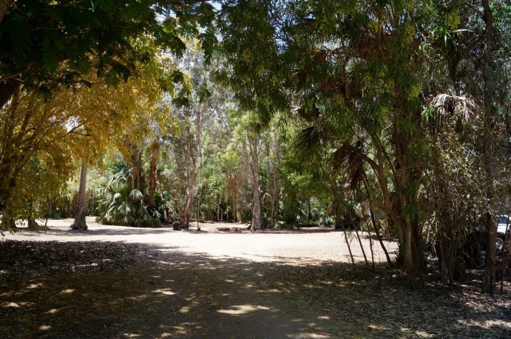 Mataranka Bitter Springs Northern Territory Caravan park trees