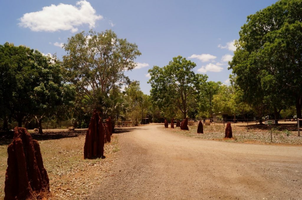Mataranka Bitter Springs Northern Territory Caravan park termite hills