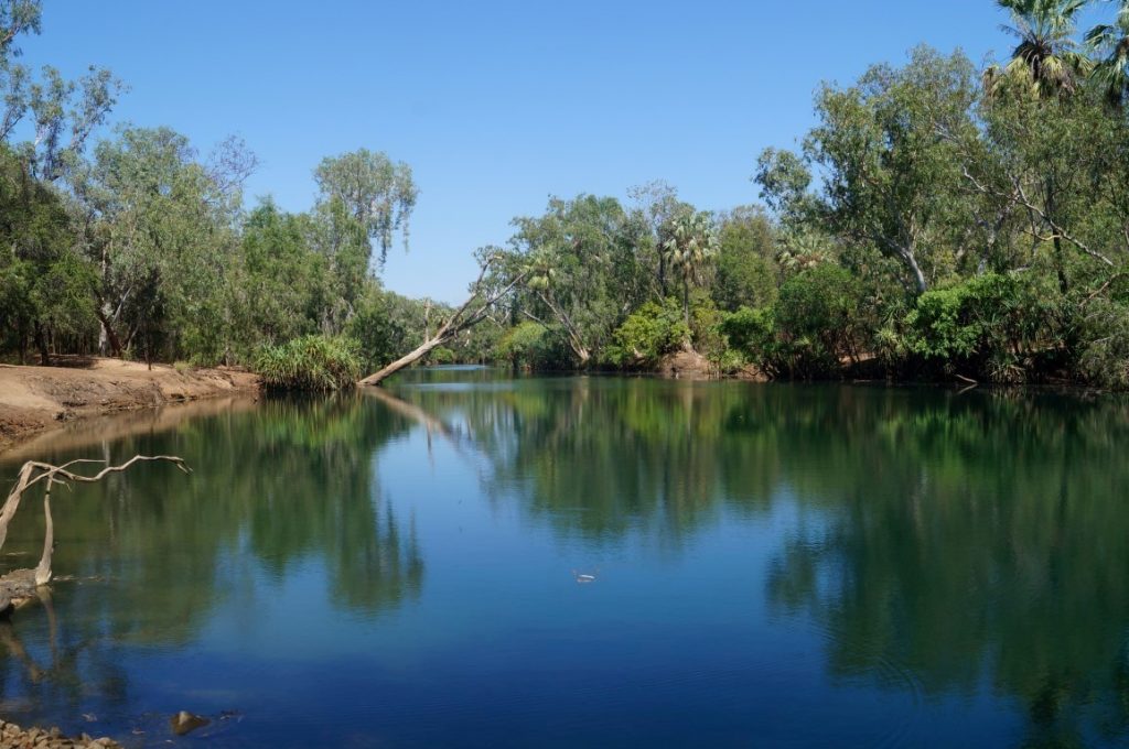 Mataranka - Northern Territory - Wabalarr - Elsey National park