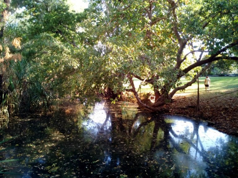 Timber Creek Roadhouse river