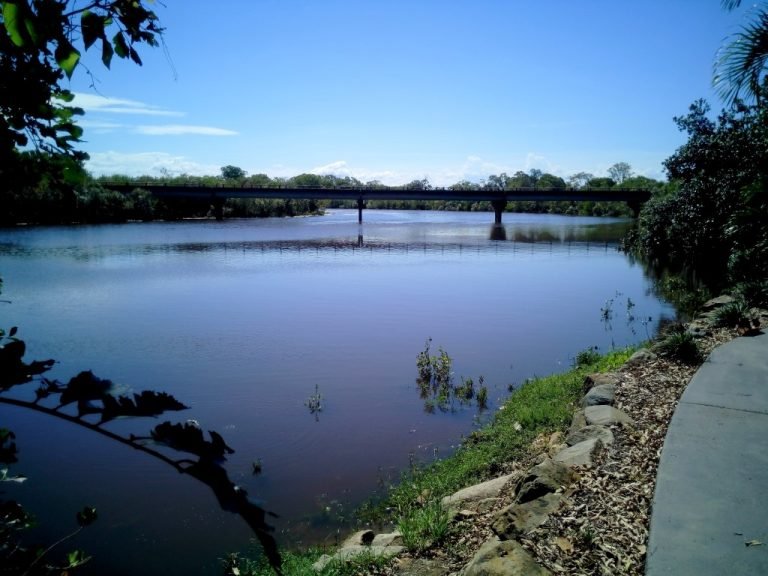 Mycow Mackay river fishing