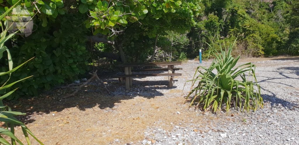 Maureens Cove Hook Island whitsundays camping