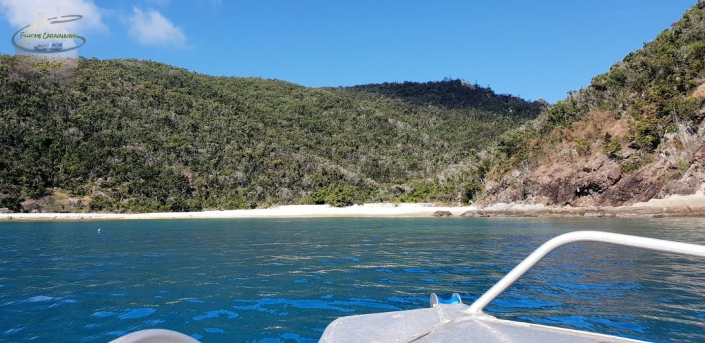 Maureens Cove Hook Island whitsundays camping