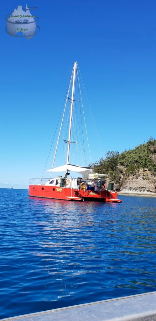 whitsundays sailing Tongarra