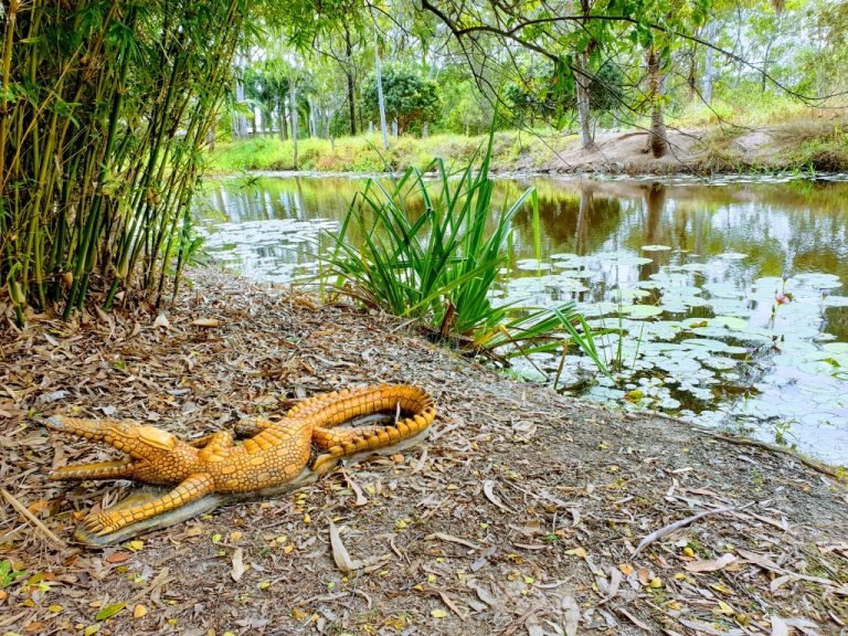 Flaggy Rock Cafe croc