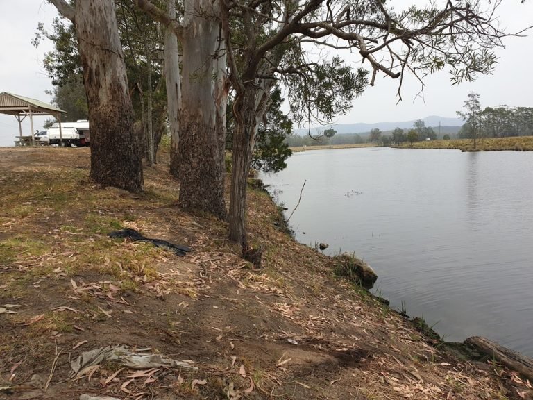 Bulahdelah Lions Park river view camping