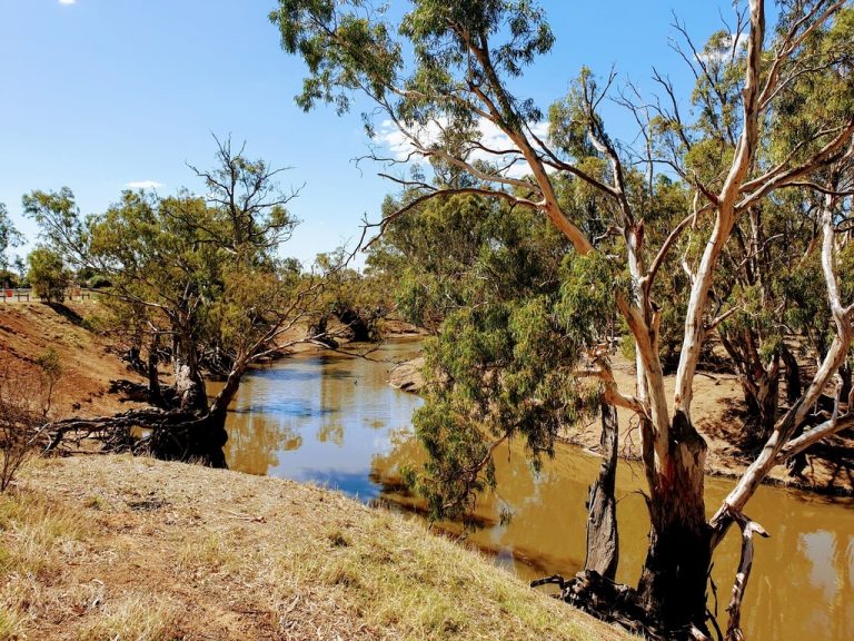 Echuca Rotary Park – $10 Donaton – Victoria - Fulltime Caravanning