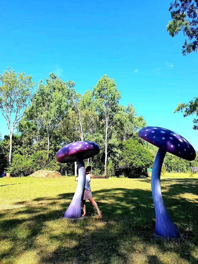 Hipcamp Large art mushroom at mushroom valley eco camp Qld