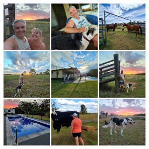 3 month farm sit around Australia Aussie house sitters