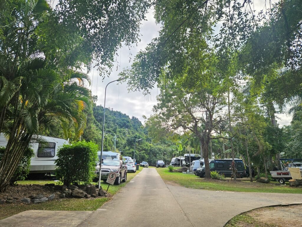 Big 4 Whitsundays Tropical Eco Resort lush gardens